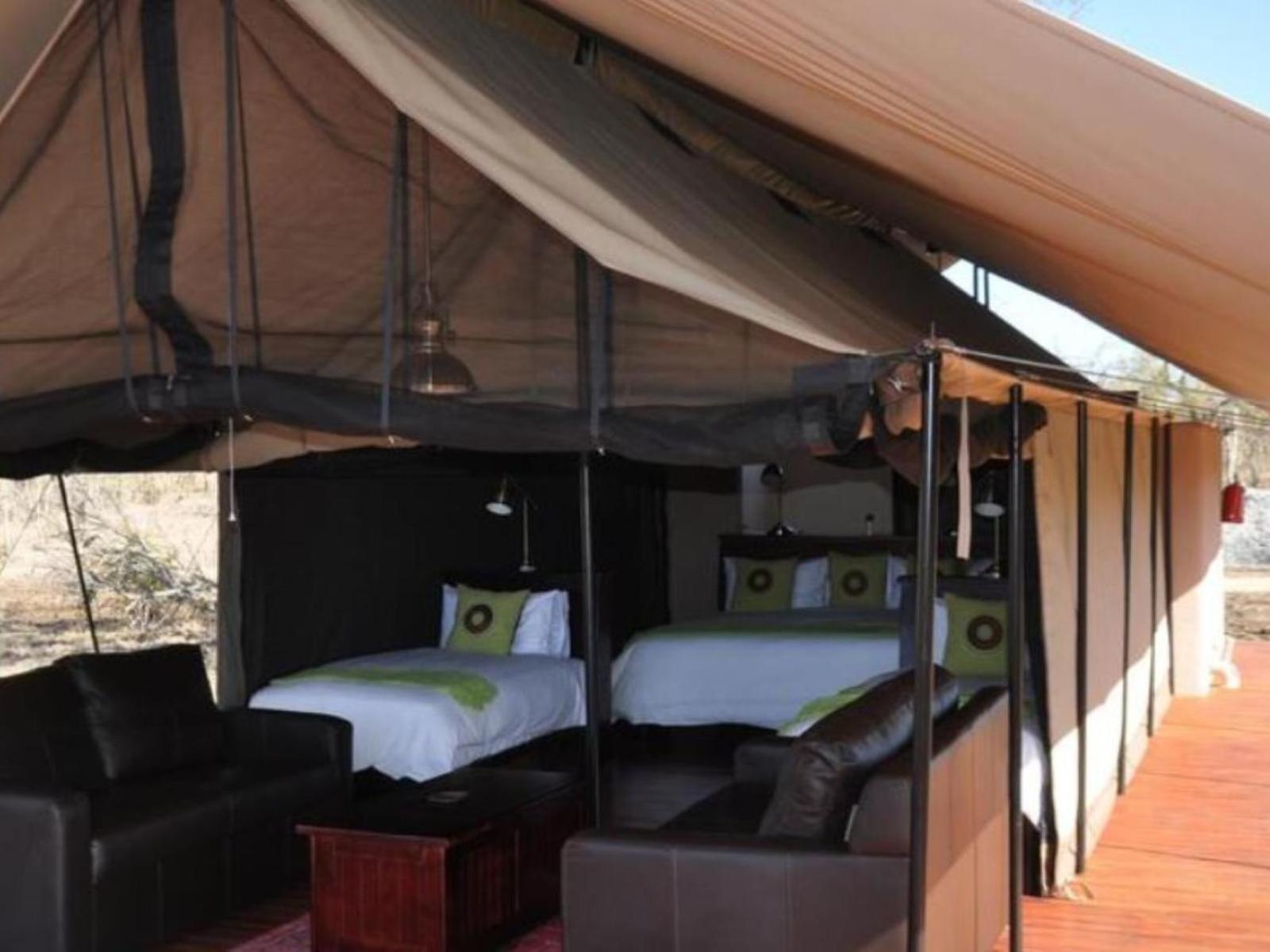 Honeyguide Tented Safari Camps - Mantobeni Manyeleti Game Reserve Quarto foto