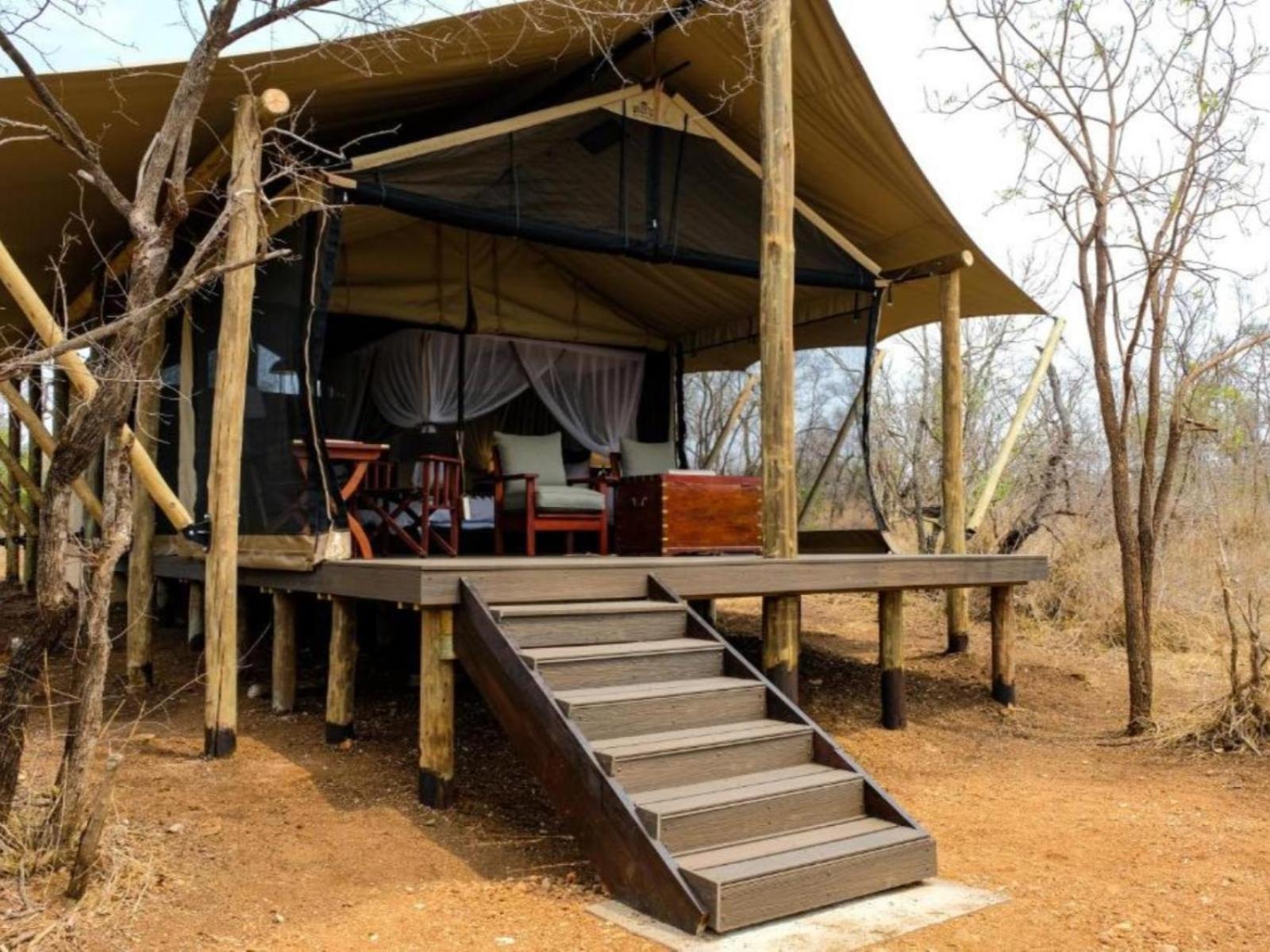 Honeyguide Tented Safari Camps - Mantobeni Manyeleti Game Reserve Quarto foto